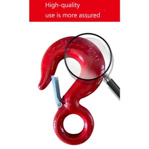 G80 Eye Sling Hook With Latch