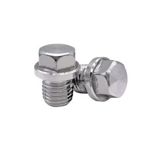China Custom Stainless Steel Hex Pipe Plug Fittings Changxin Brand 3-Year Warranty Industrial Use Price