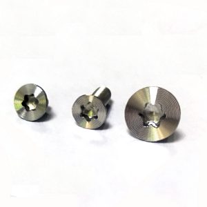Customized Oem Odm flat head torx stainless steel screws cnc machining auto screw