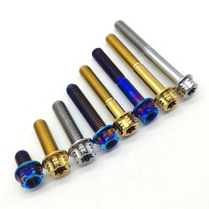 Supply High Quality Gr5 Flange Head Ti Screws Titanium Bolts