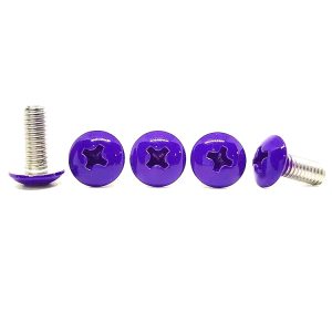 Phillips Pan White Painted Screws Industry Machine  Screw Stainless Steel Plastic Chicago Tapping Screw