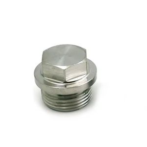 Customized Flange Thread Plug Hexagon Plug with 55 Degree Non-sealed Pipe Thread
