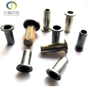 Hot Sale High Quality Customized OEM/ODM Stainless Steel Lantern Rivet Nut Zinc Plated with Galvanized Finish